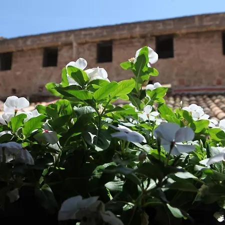 Sant'anna Apartment